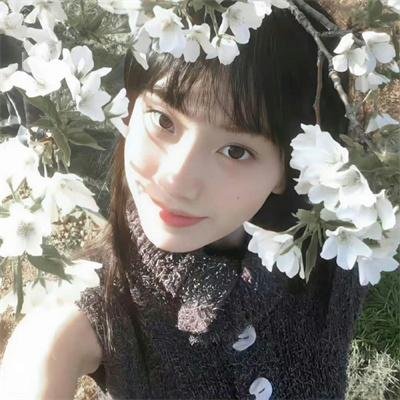 糊涂舰长